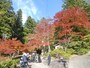 鳳来寺山の紅葉