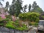 日本庭園には、茶室があり、桜も植えられている
