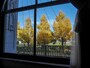 横浜の紅葉おすすめスポット