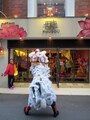 獅子舞がお店を巡る慶祝獅子舞（採青）の様子（2013年撮影）