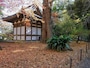 イチョウに覆われる旧天瑞寺寿塔覆堂（内苑）（2016年12月8日撮影）