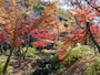 三溪園ではたくさんの紅葉の風景に出会えます。外苑のようす（2016年12月8日撮影）