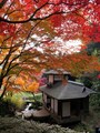 期間限定公開の遊歩道から眺めた聴秋閣（2015年12月10日撮影）