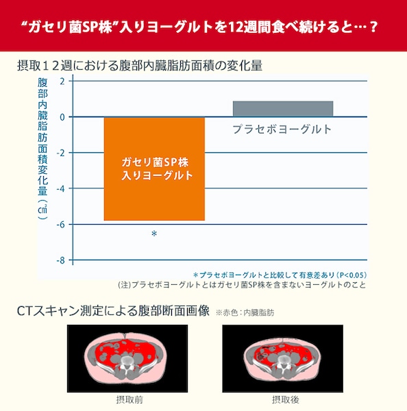 腹部内臓脂肪面積の変化量をみると、“ガセリ菌SP株”を含むか否かで結果は差があります。 同様に、CTスキャンで得られた画像でも、12週間後のお腹周りには明らかな変化がみてとれます。これはぜひとも、挑戦してみたくなりますね！