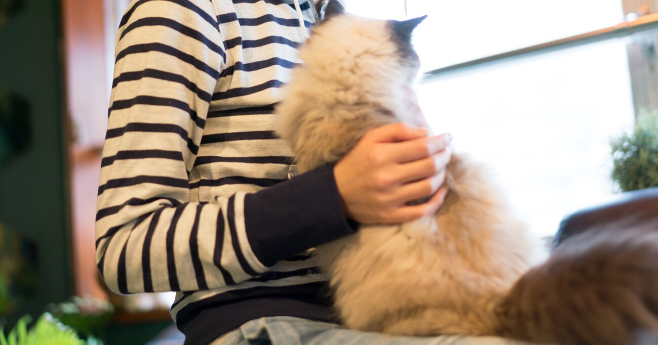 飼うことで生まれるストレスにも目を向けて 在宅の寂しさからペットを飼いだす人への注意喚起に共感の嵐 ペットも1つの命 Citrus シトラス