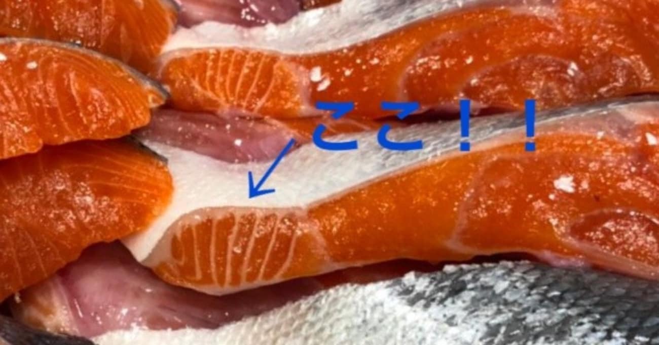 【ライフハック】ここが鮭の大トロ！ 〇〇を見つけたら即買いをおすすめします