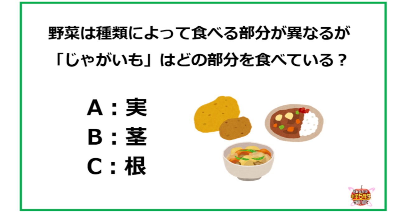 「じゃがいも」はどの部分を食べている？【小4理科レベル】