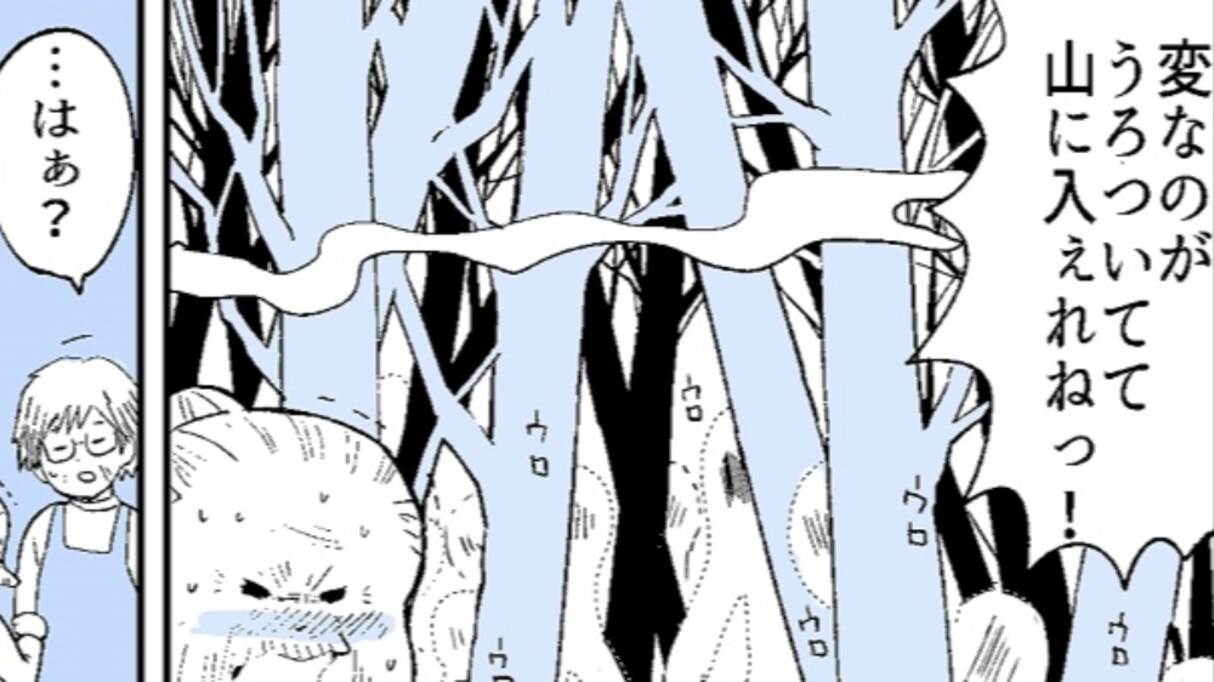 毎日山に入る祖母が急に山を怖がり出した 気になり山に向かってみると…不思議な展開に「山は神の住処」「人知を超えたものがあるのかも」と反響の声