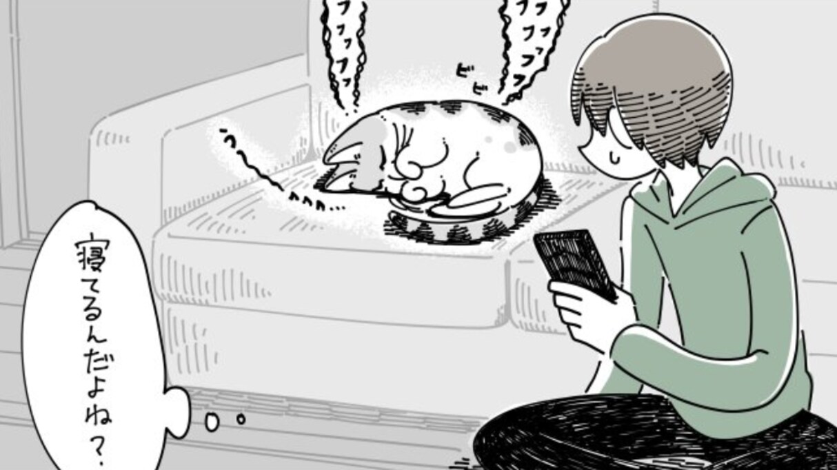 呼んでもゆすっても起きない猫にカメラを撮ろうとすると…機敏な反応に驚かされる