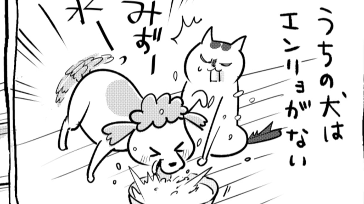 犬は「遠慮」というものをそもそも知らない。猫の場合は、「遠慮」を知っているうえで…