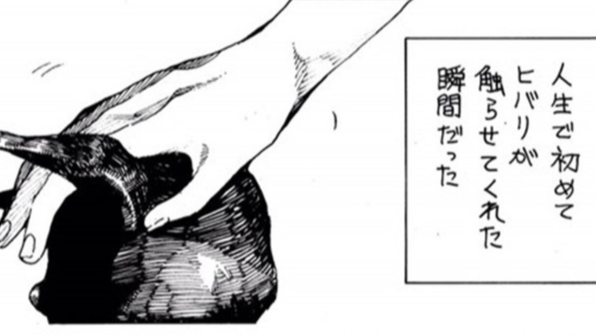 絶対に触らせてくれない誇り高き猫　ある日部屋の隅で泣いていると近くに寄ってきて…不器用な愛情表現に思わず涙