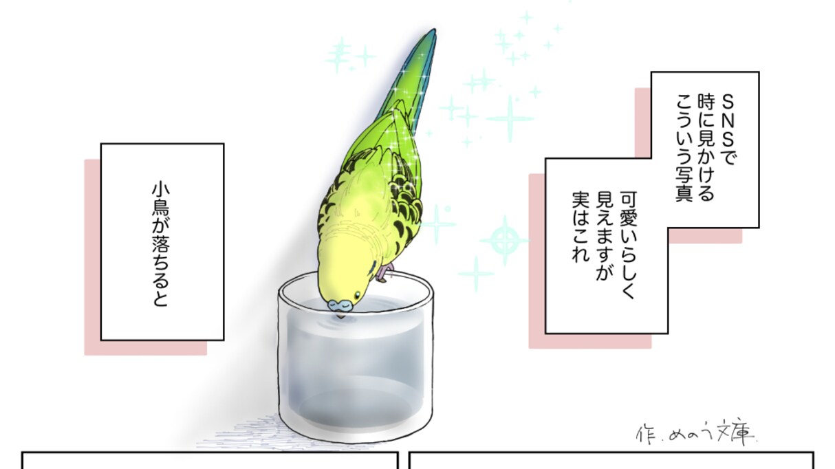 【注意喚起】「秒で溺死」インコにコップを使うと危険！わかりやすく描かれたイラストに反響の声
