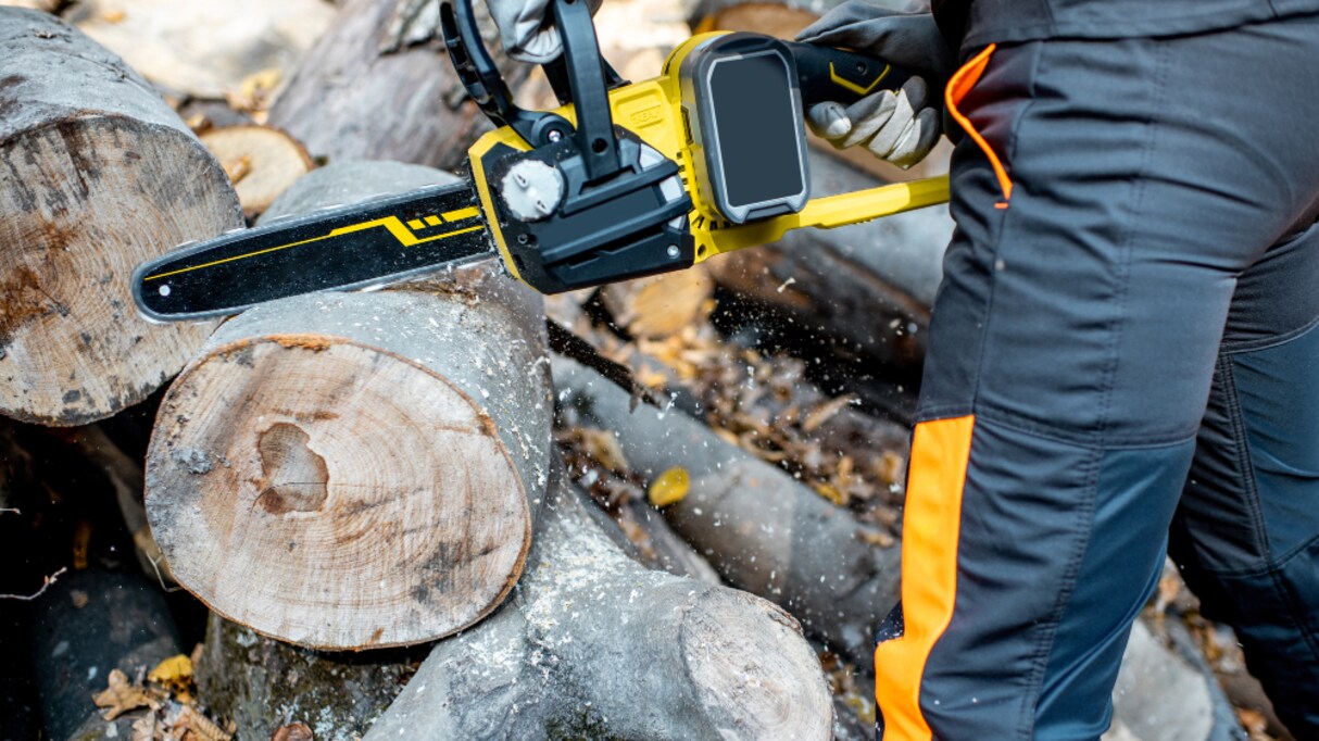 【異端】このマンガがすごい1位『チェンソーマン』"少年マンガにあるまじき" 主人公の戦う理由