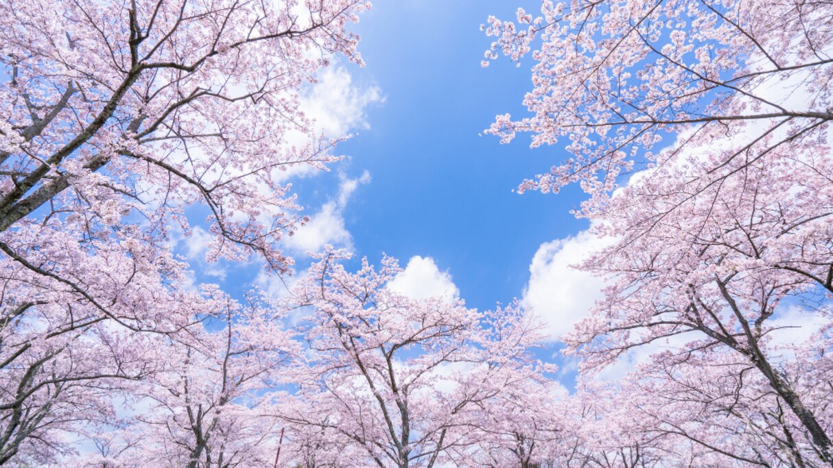 「そなた達の語彙力は底なし沼か？」外国人が直面する日本語の"花が枯れる"の表現多すぎ問題が話題に