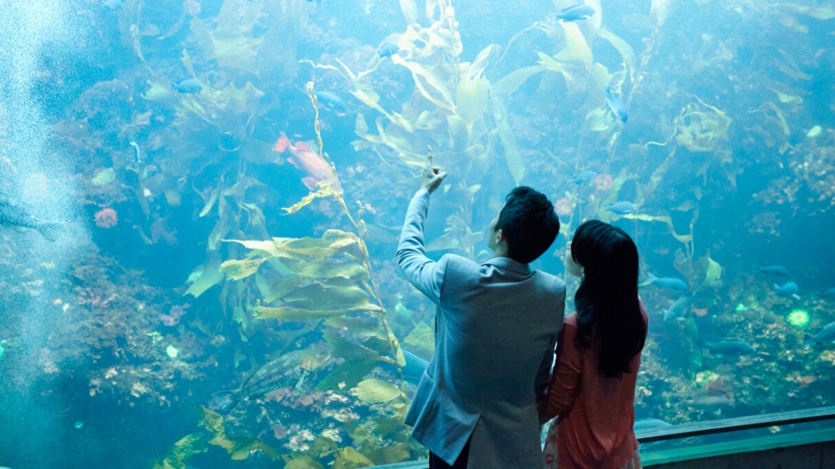 「水族館好きな人と付き合いたいです！」と言うのは決して○○な人ではなくてｗ 色々な価値観が集まる