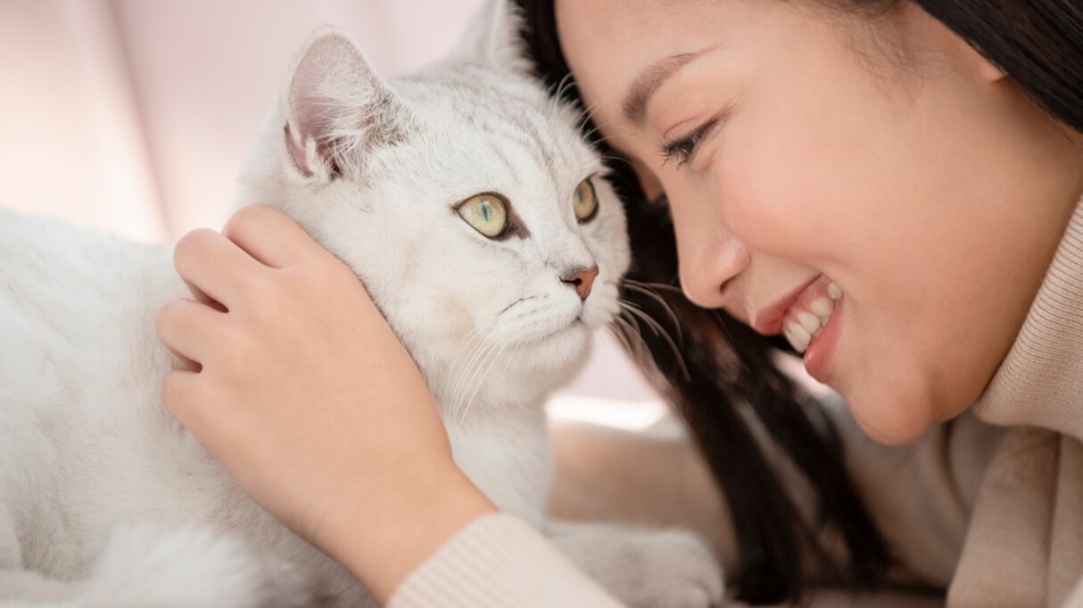「あなたの家族じゃなかったのですか」ペットを飼育する "責任" に関する訴えに意見が殺到