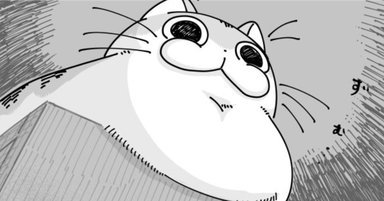 寝室の高いところでキメ顔の猫 「下から見ると迫力あるな」と思っていると…まさかの行動に絶叫