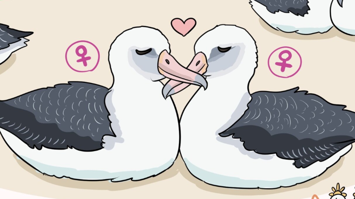 【図解】近年明らかになった "驚きの事実" ！仲良し夫婦のシンボルにも同性カップルがいた？