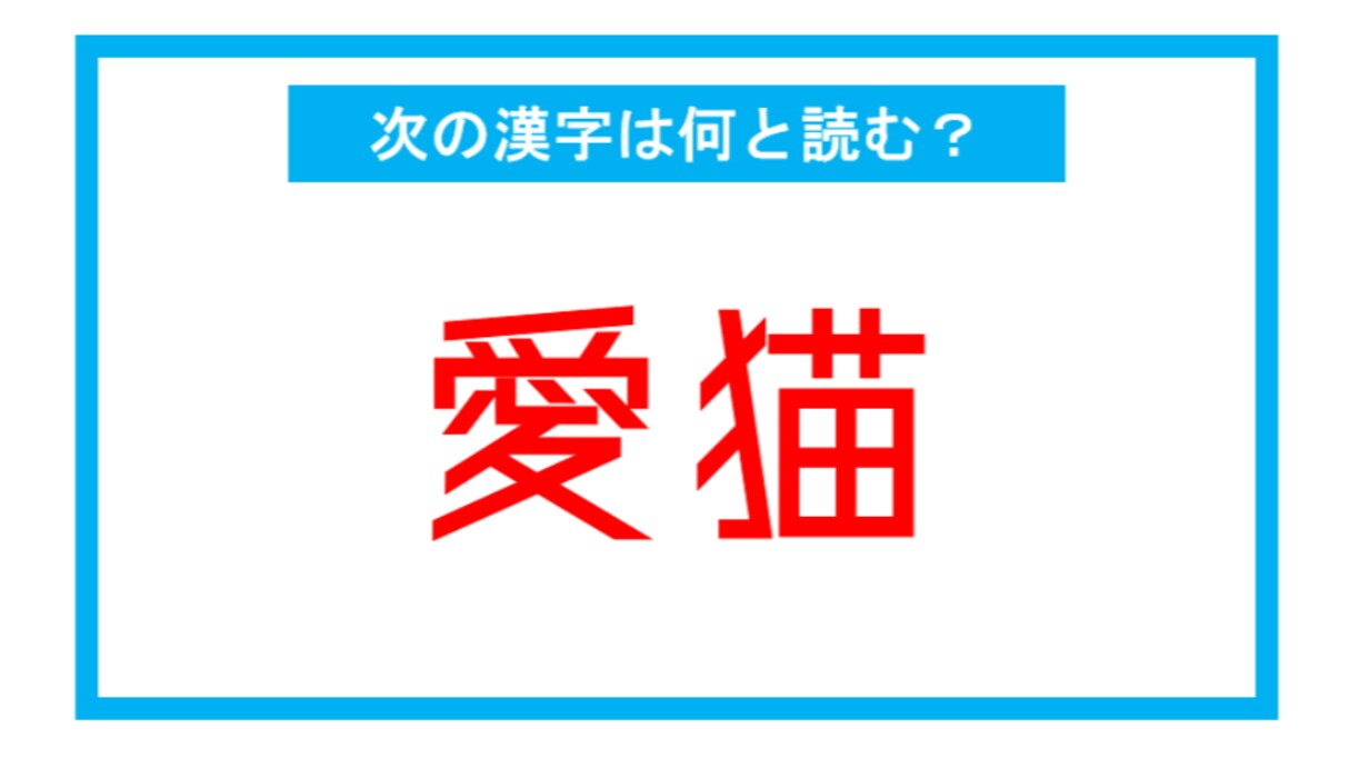 【漢検2級レベル】「愛猫」←この漢字、何と読む？（第123問）