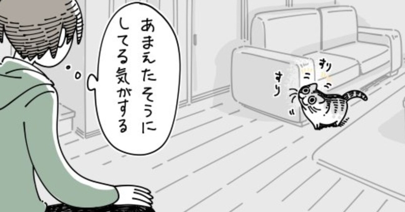 遠くの方にいる猫があまえたそうにしているので、名前を呼んでみると…予想外のあまえ方に癒される