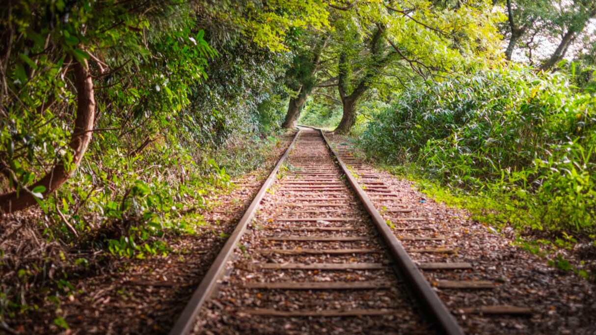 「本当にレールを外れたいなら…」学校をサボるのは凡庸？ 自らの道を進みたい人に向けた投稿が話題に