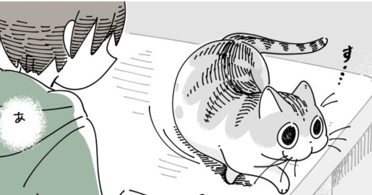 急に立ち上がりその場を歩き出す猫 どっかに行ってしまうのか？と思って見ていると…予想外の裏切り方に癒される