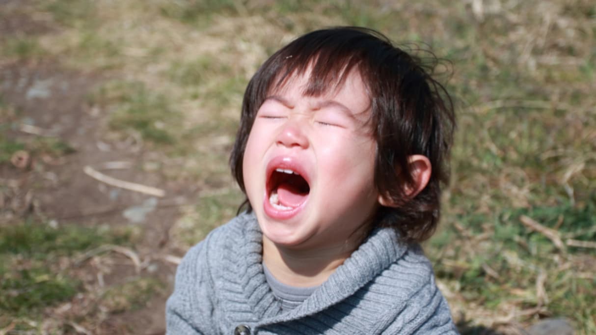2歳児は「私は最強！」と思ってる時期だから…保健師が語る子どもが癇癪を起こした時の考え方が話題に