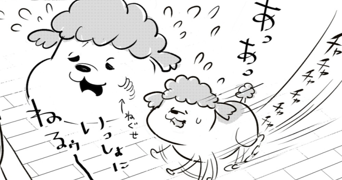 犬は老いても飼い主と一緒に寝たい！一方、猫の場合は…衰えを知らぬプライドの高さが話題に