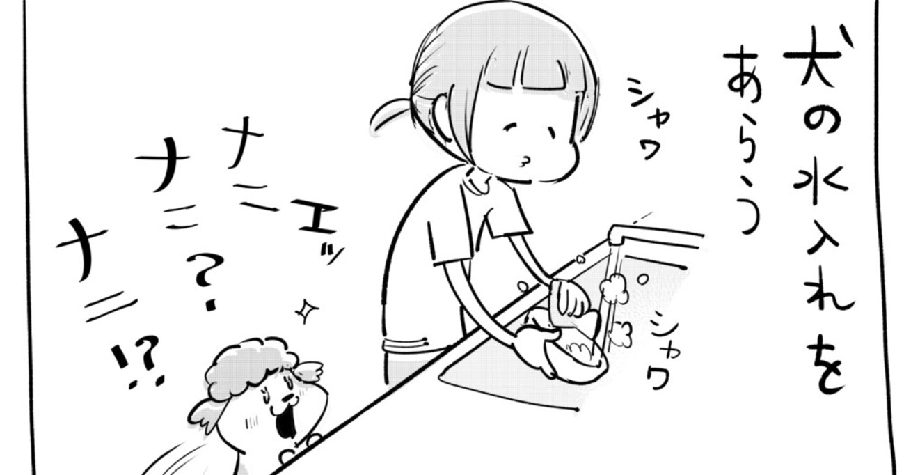 犬の水入れを洗っていると、様子が気になって絡んでくる犬　水を出してあげると…コロコロ変わる表情に癒される