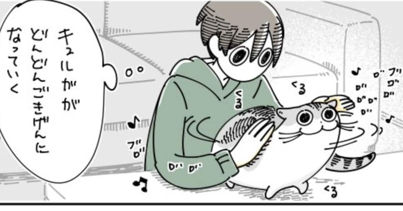 手を添えるだけでグイグイ甘えてくる猫に油断していたら…機嫌を良くした猫の "まさかの行動" に驚き