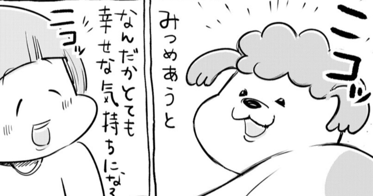 犬は見つめ合うだけで幸せな気持ちになれるけど、猫の場合は…恐怖を与える"見つめ力"に圧倒される