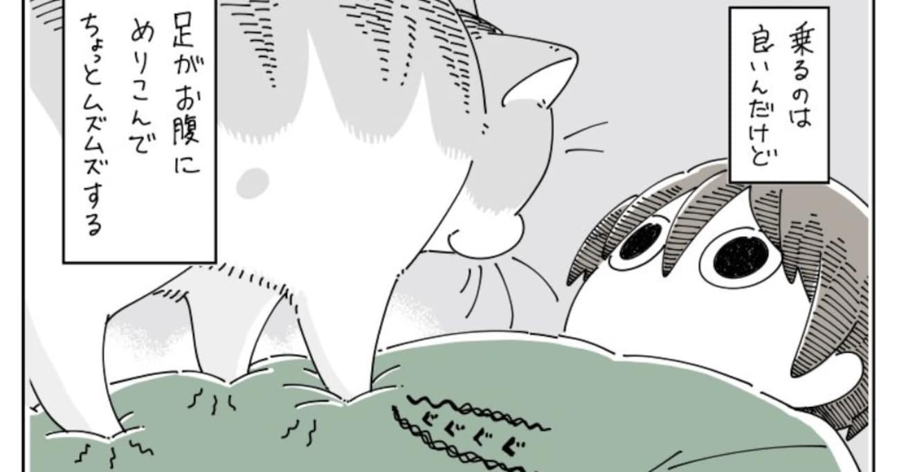 お腹の上に乗ってくる猫を迎え入れたはいいが…かたくなに座らない姿に困りつつも癒される