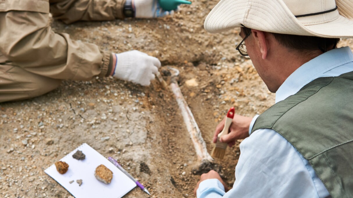 「そういう先生、いないな…」一昔前の教師が担っていた、教育以外の "重要な役割" に考えさせられる