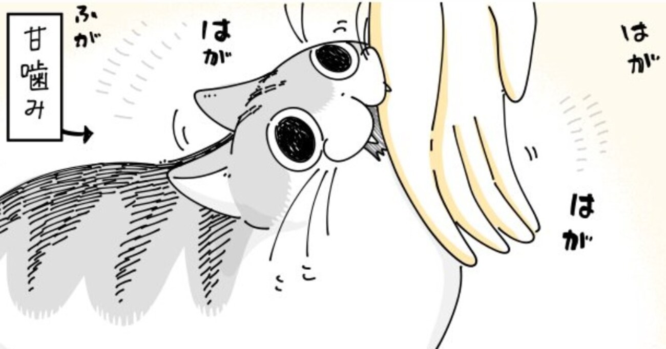 甘噛み攻撃をしてくる猫　傷が一つもつかないので猫の優しさに感動していたものの…