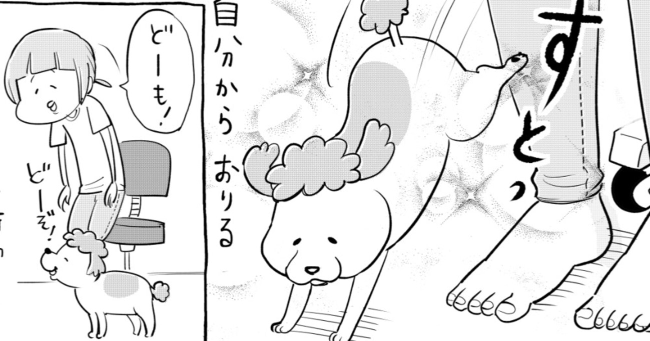 犬をおひざ抱っこすると雰囲気を読んで行動してくれるけど、猫の場合は…むしろ雰囲気を読む必要がある！？