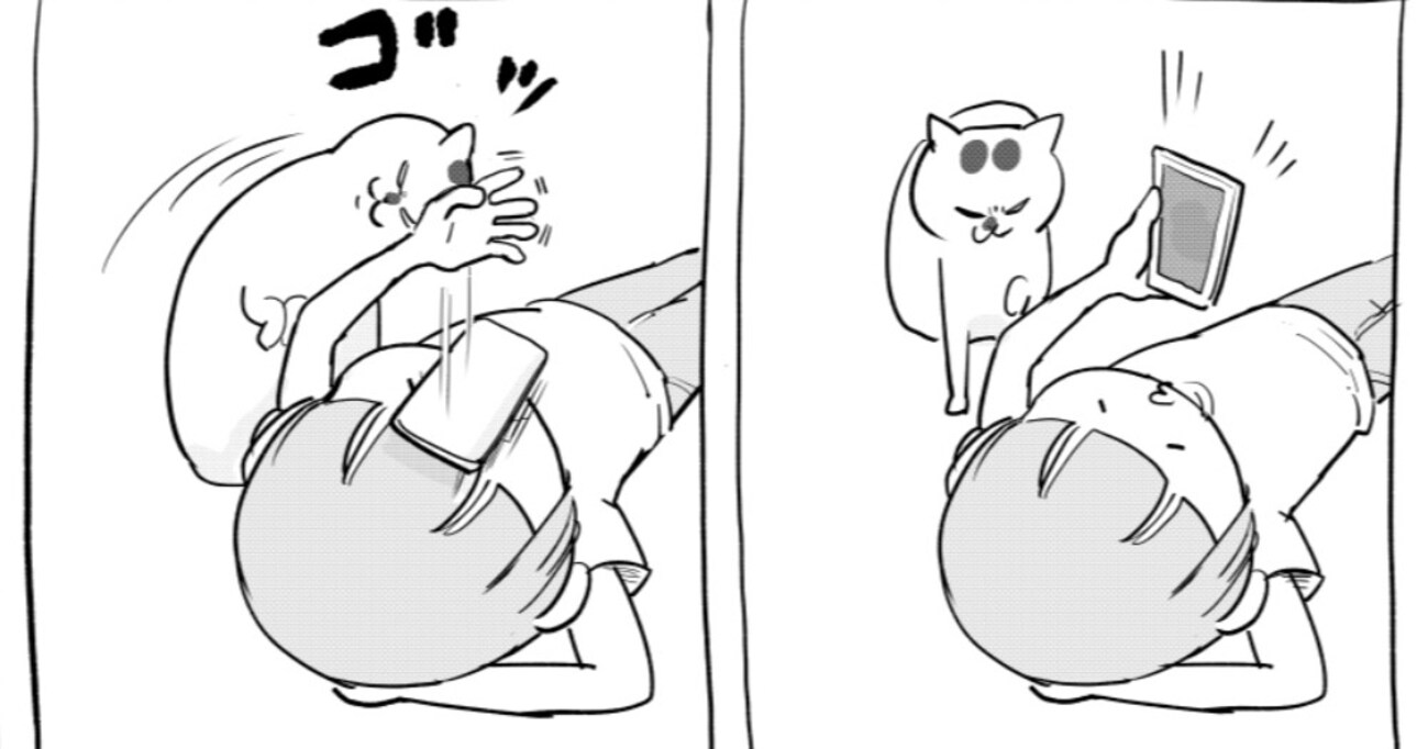 寝転がってスマホを見ていると、そばに寄ってくる猫…その狙いがまさかすぎた！
