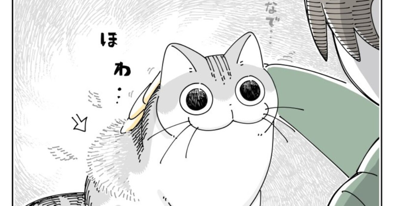 探し物中にジャマしにきた猫　撫でると "毛のスカート" ができて…その後の展開に癒される