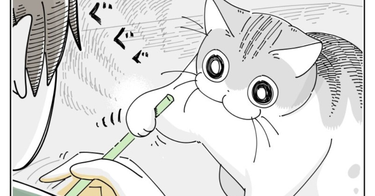 家で仕事をしているとジャマをしてくる猫。日に日にジャマのスキルが高くなり…最終的にはコレで安定！？