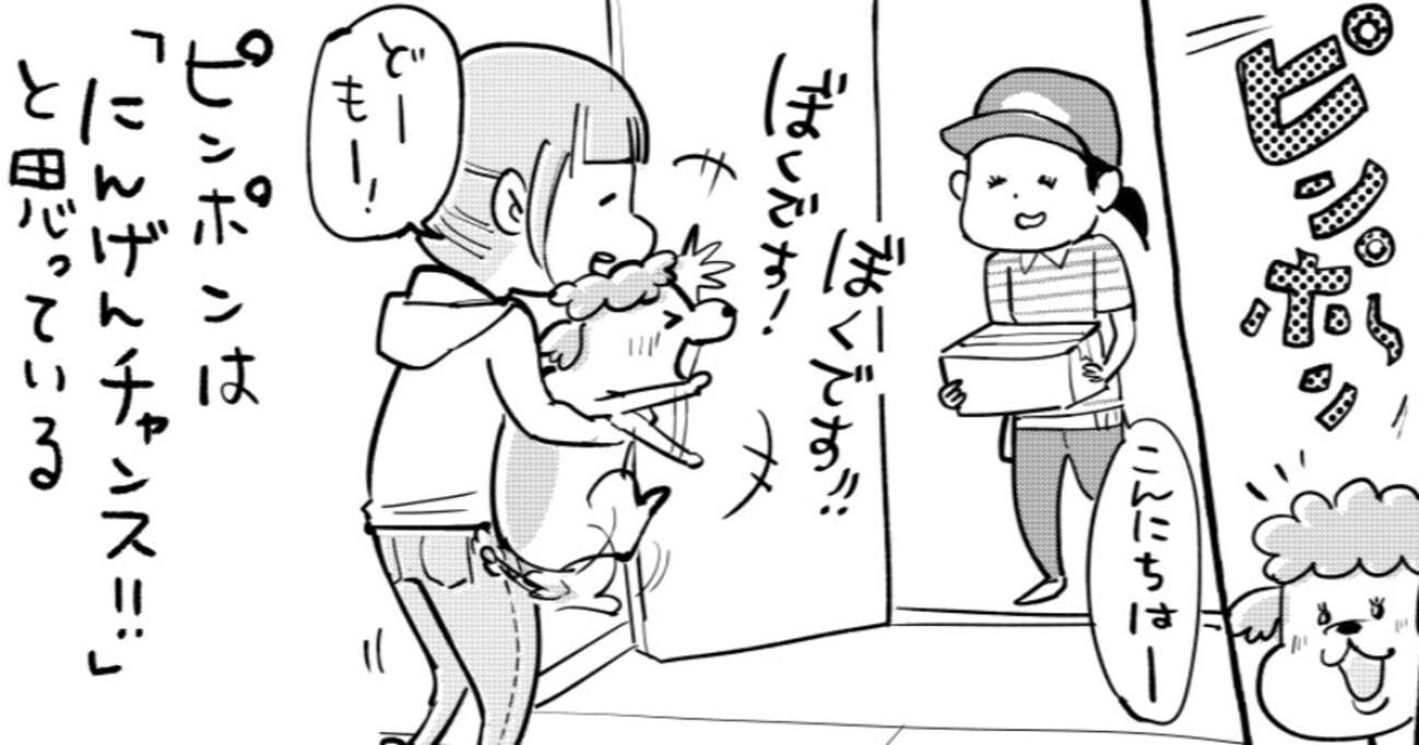 【インターホンへの反応】犬の場合すぐに飛び出そうとする！一方猫も人間が大好きだが…