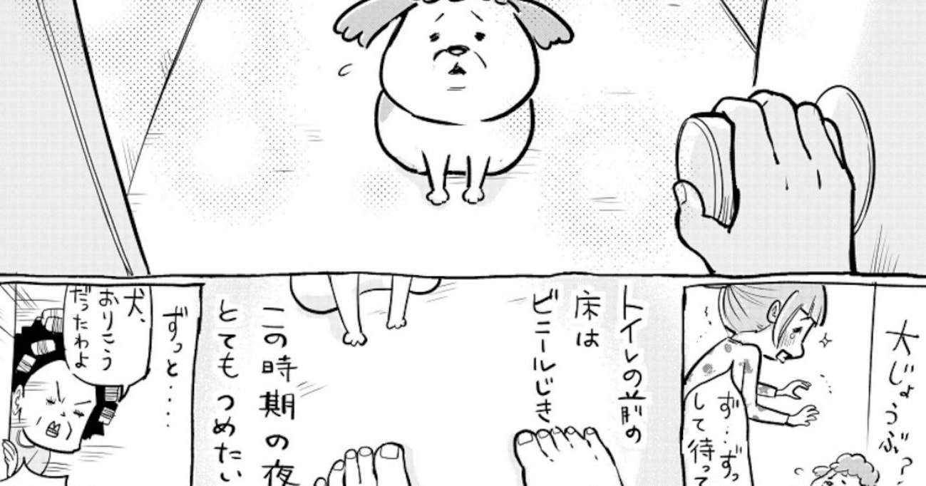 夜中に訪れた突然の腹痛…犬と猫の健気すぎる反応に「愛おしすぎる」「抱きしめたい」