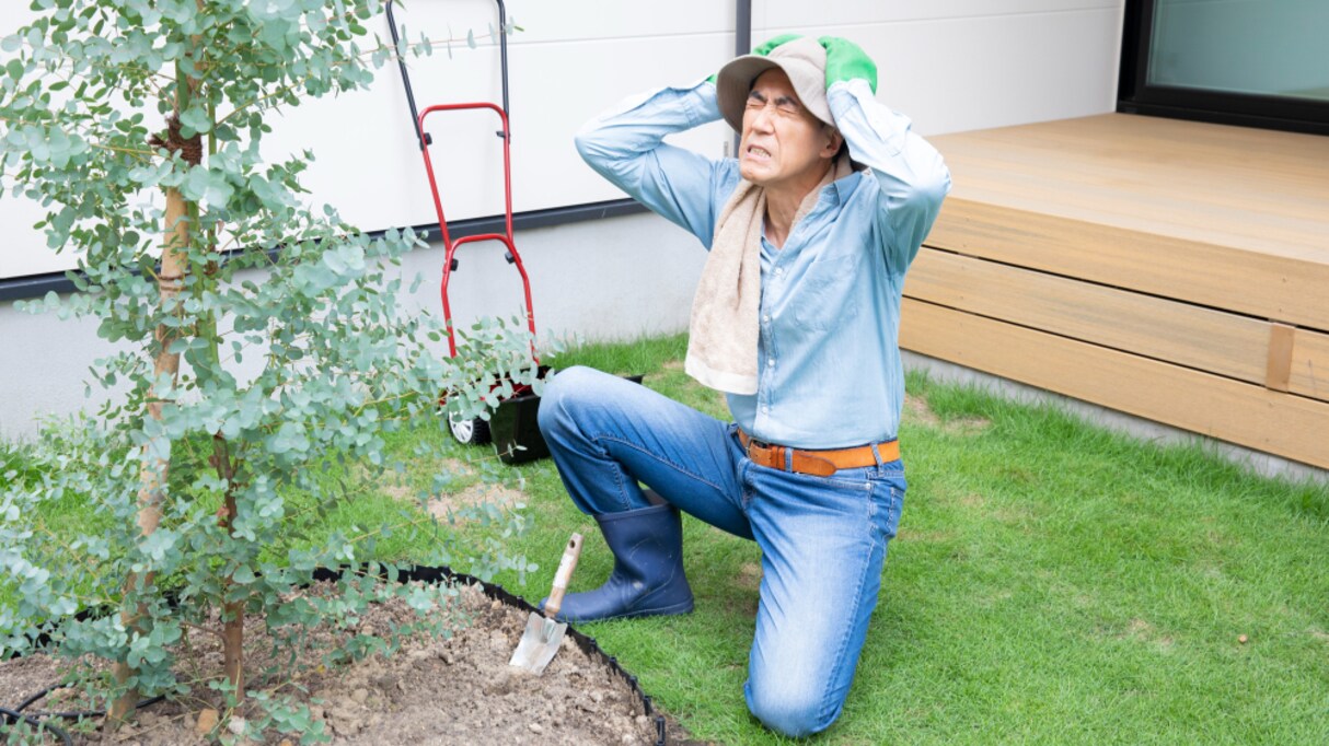 「マジで熱中症を舐めるなよ！」現役医師が語る、熱中症患者のエピソードに驚きの声