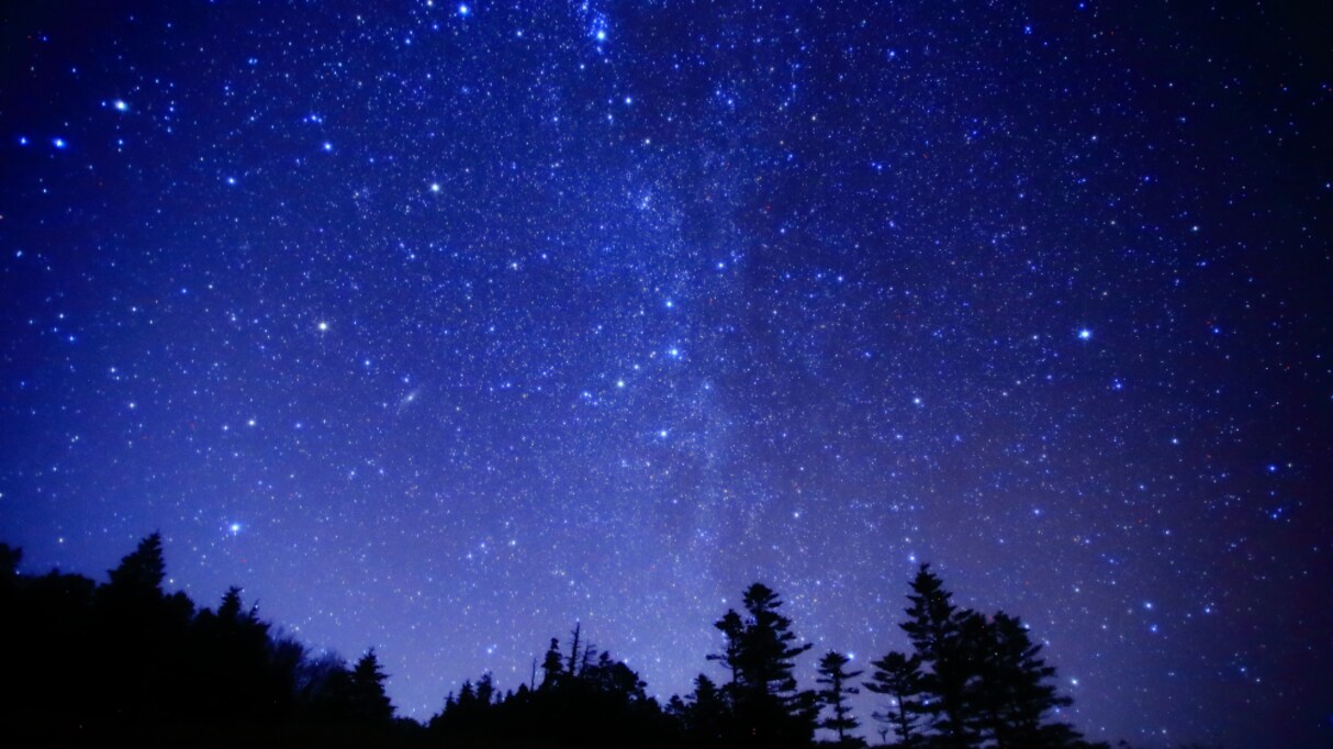 シェイクスピアもびっくり…天体観測で満天の空を見た7歳児の発言がセンス抜群だと話題に