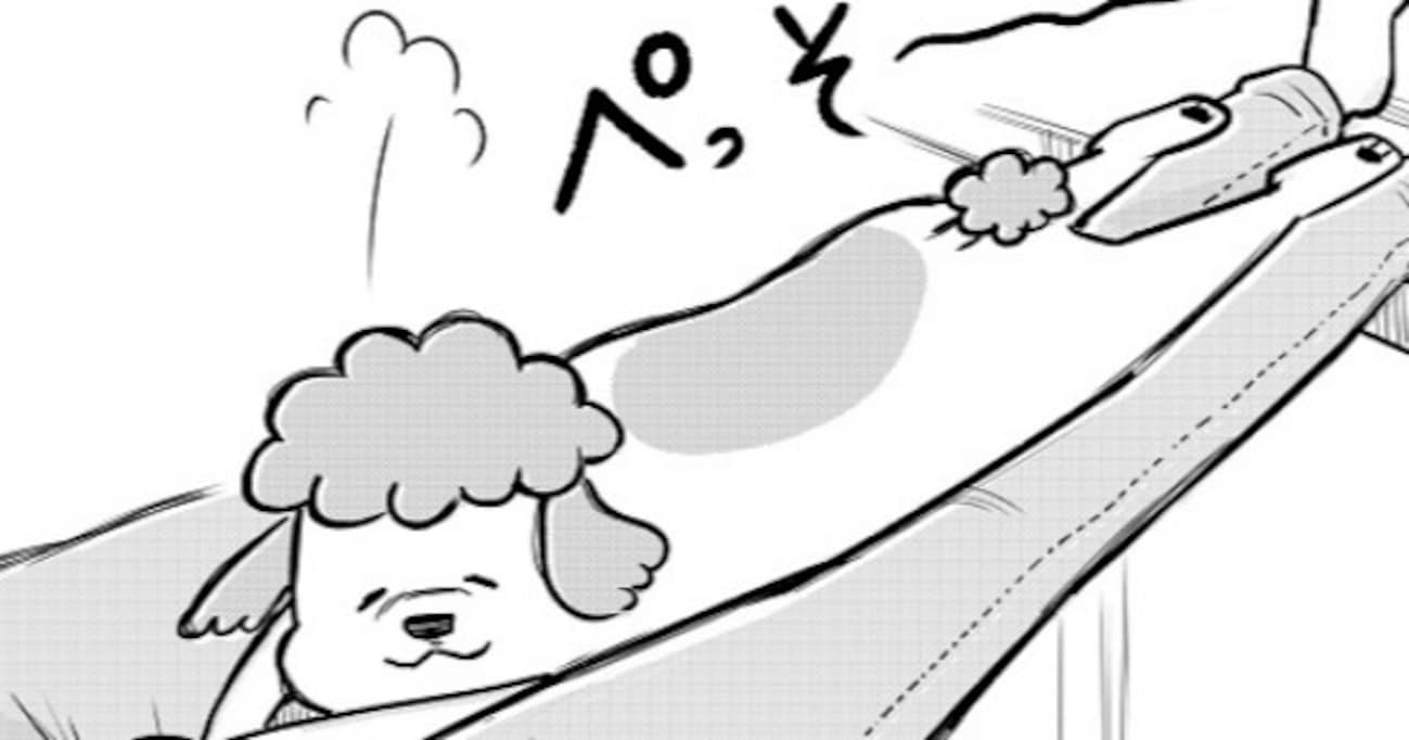 ゲームをしていると足の隙間に入り込む犬 一方猫はゲーム中に目を離すと… "衝撃的すぎる" 猫の姿に驚きの声が殺到！