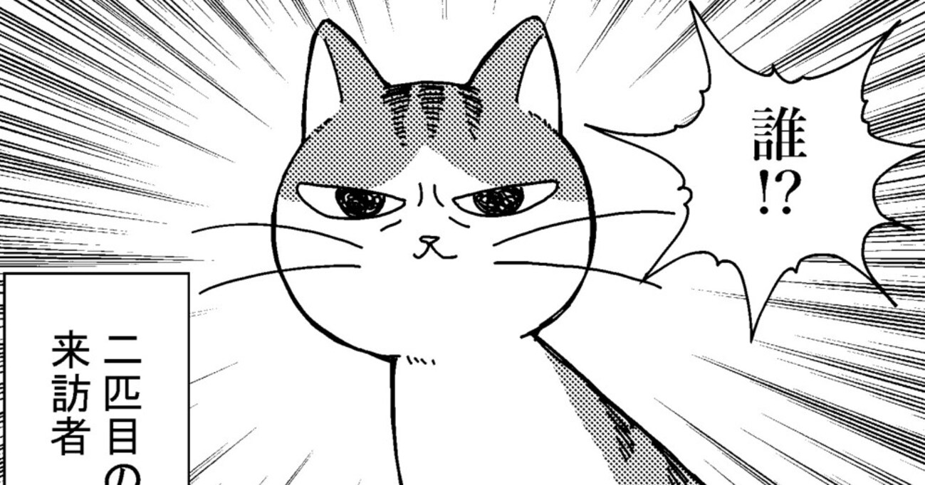 「そっちじゃなーい」街のボスネコがお家に襲来！とんでもないオーラに飼い猫が委縮してしまい…その後の展開が予想外すぎると話題に