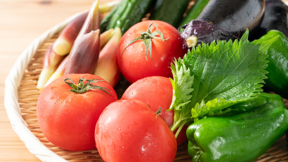 「野菜が高くて買えない」というのは間違い？農家が直面している現状に嘆きの声