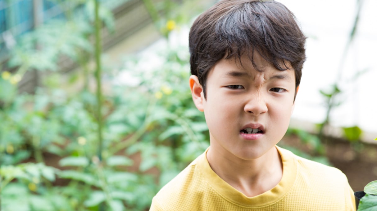 「体育のときに…」恐竜柄のシャツを頑なに嫌がる息子　その理由が予想外すぎた！