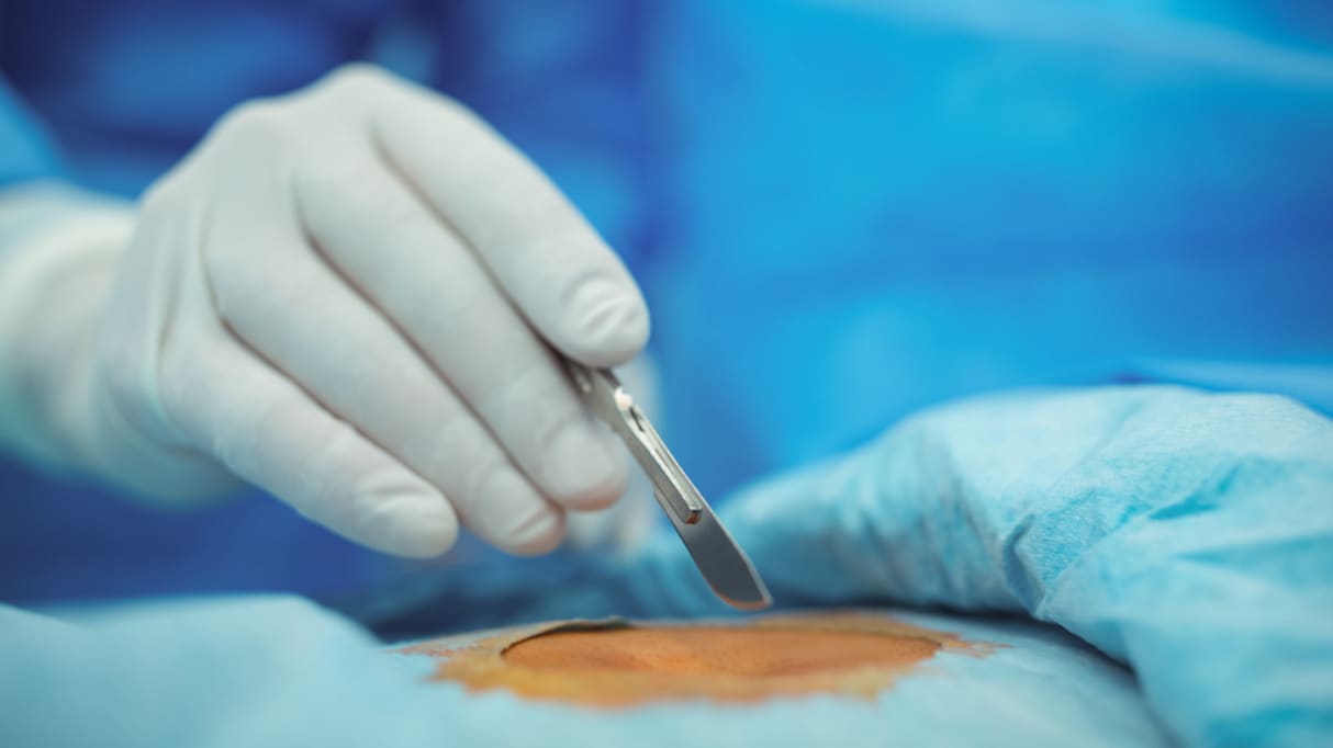 帝王切開は「○○なお産」と言われるらしい…出産の "尊さ" が伝わる話が話題に