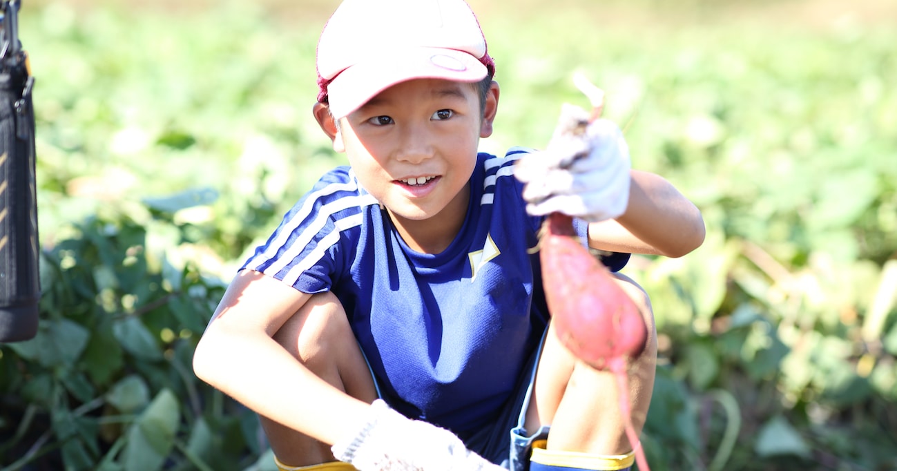 「足りないかもなぁ…」芋掘り中、あまり掘れず心配する4歳児…その真意が可愛すぎた！