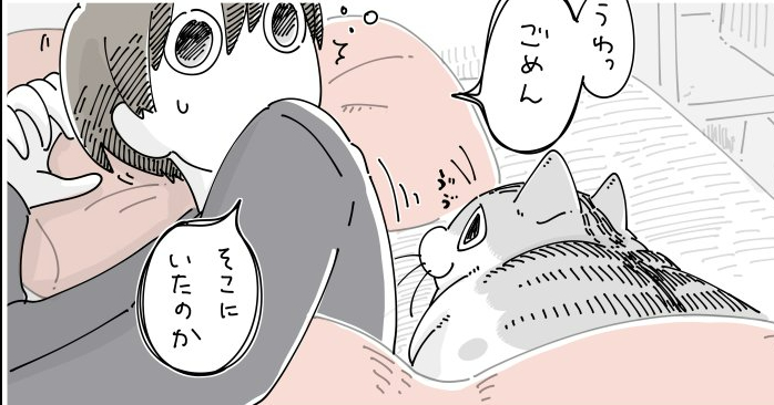 【癒やし】朝起きようとすると、後ろで猫が寝ており…何気ない朝のワンシーンに猫好きたちから共感の嵐