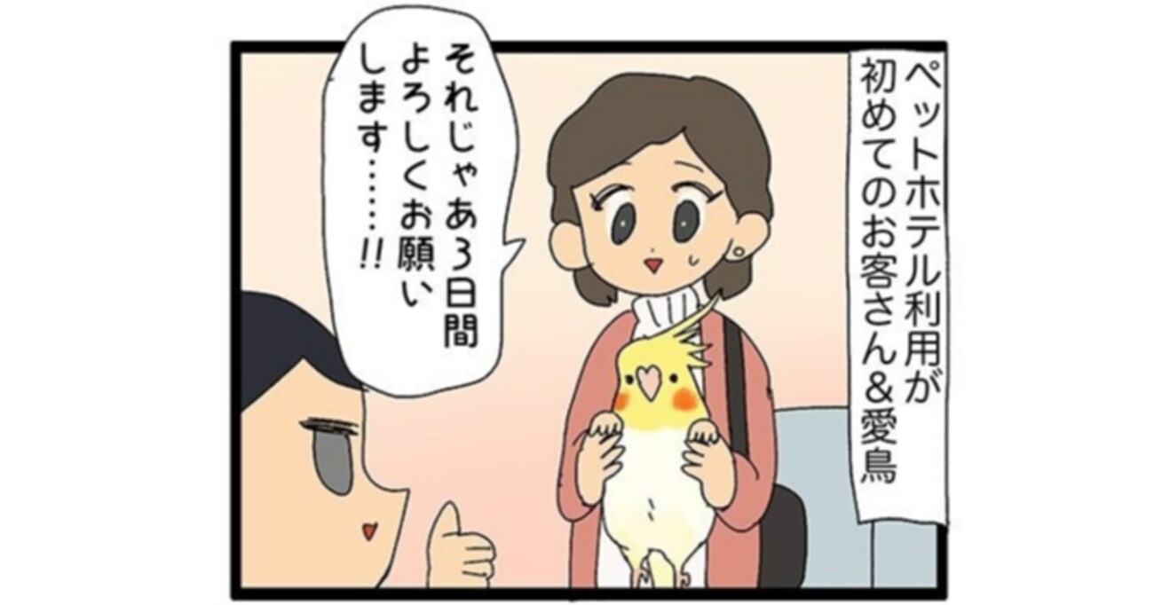 ペットホテルにやってきたお客さん　寂しがり屋の愛鳥を預けることに不安げな様子だが…？お客さんと愛鳥のギャップにほっこり